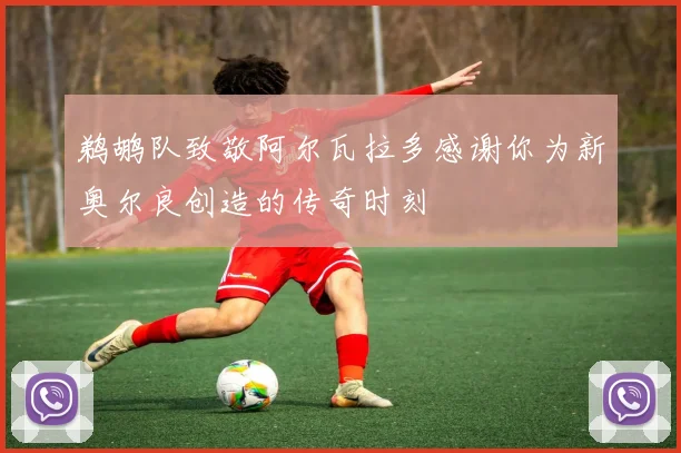 鹈鹕队致敬阿尔瓦拉多感谢你为新奥尔良创造的传奇时刻