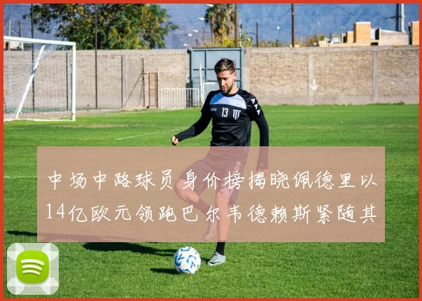 中场中路球员身价榜揭晓佩德里以14亿欧元领跑巴尔韦德赖斯紧随其后